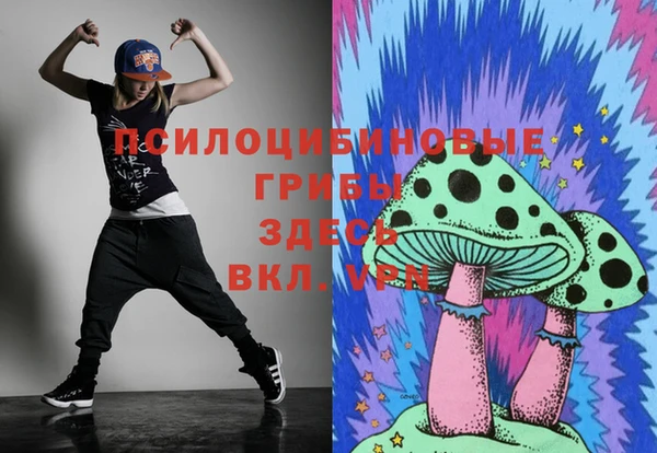 гашик Гусиноозёрск