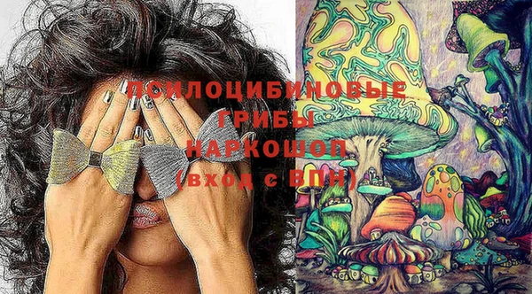 спиды Гусь-Хрустальный